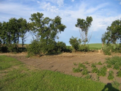AFTER - Disaster Clean-Up