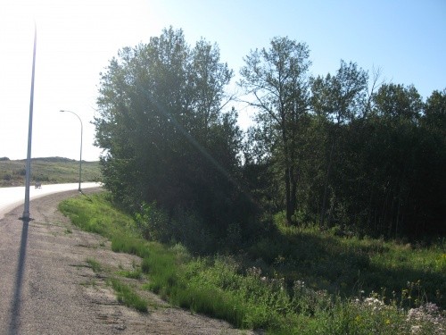 Municipal road right of way before