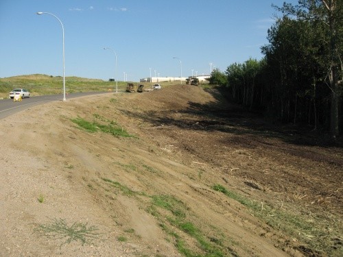  Municpal road right of way after mulching