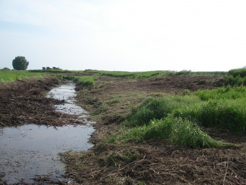 Waterway after clearing with mulcher