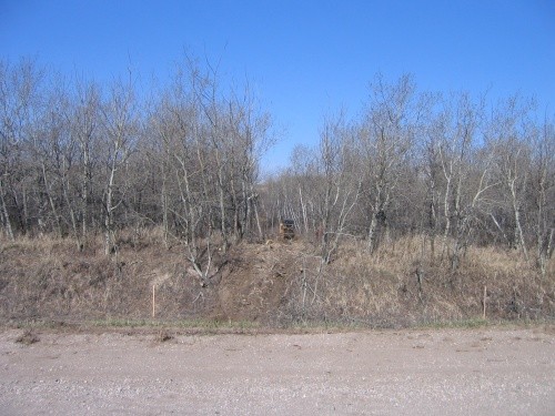  Development before