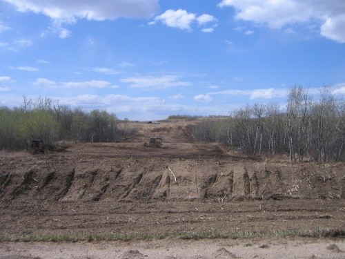 Development after mulching
