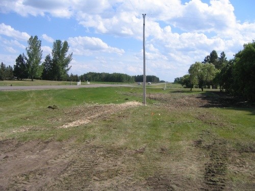 AFTER - Large Poplar