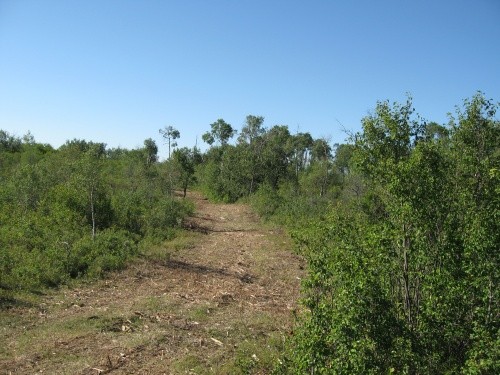 Hunting Trail
