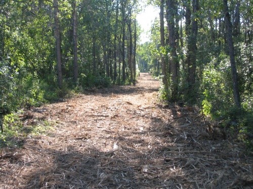 Driving Tracks