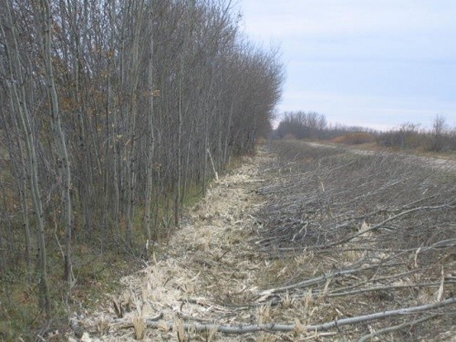 BEFORE - Municipal R.O.W.