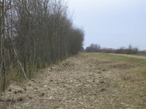 AFTER - Municipal R.O.W.